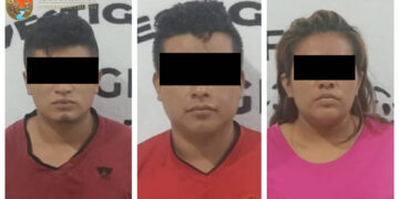 Caen ratones “concordeños”