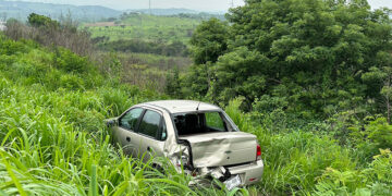 La sacaron a “pastar”