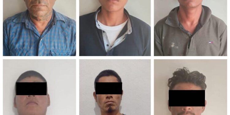 Media docena de ratas al bote