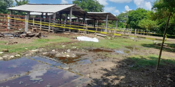 Lo mató a quemarropa