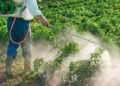 ECOLOGÍA HUMANA