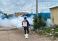 Se dispara a 800 los casos de dengue