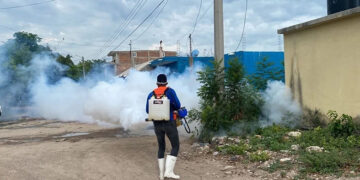 Se dispara a 800 los casos de dengue