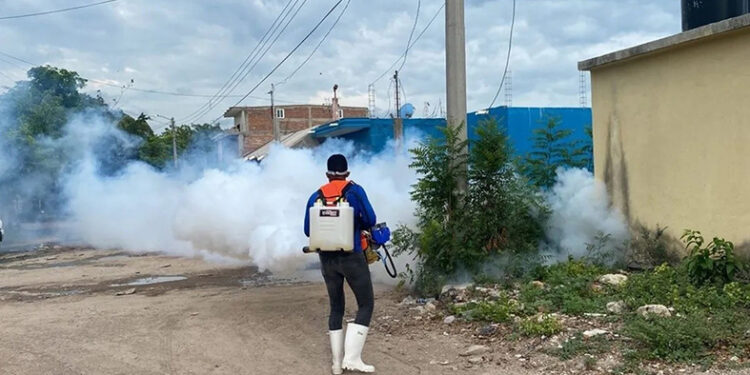 Se dispara a 800 los casos de dengue
