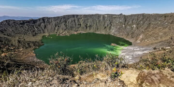 Bacteria contra plagas de cultivos