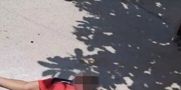 Cobra de nuevo una vida