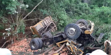 Volteo cayó a un barranco