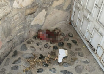 Encuentran feto en la calle