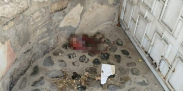 Encuentran feto en la calle