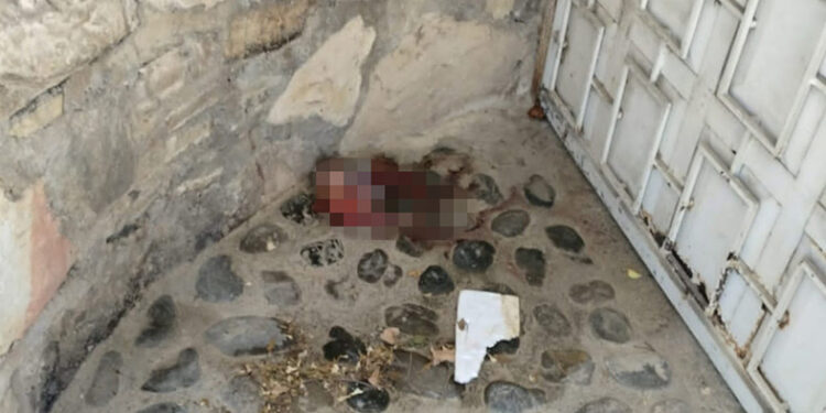 Encuentran feto en la calle