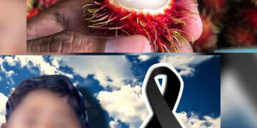 Semilla asfixia a niño