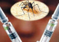 Alertan por vacuna contra el dengue