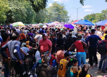 Urge atender más rápido o crecerá la crisis