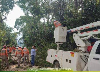 Realizan limpieza de maleza