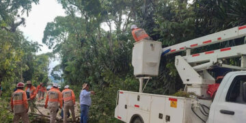 Realizan limpieza de maleza