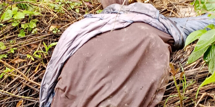 Localizan cadáver putrefacto