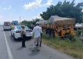 Camión termina entre el monte