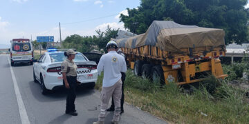Camión termina entre el monte