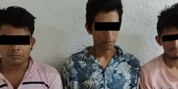 Ratas son vinculadas a proceso