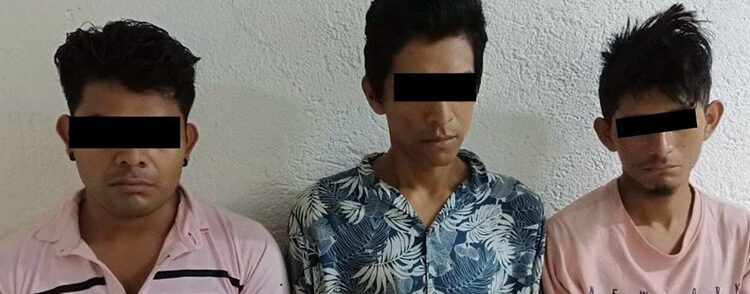 Ratas son vinculadas a proceso