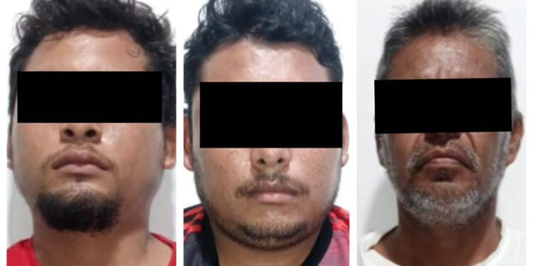 Caen tres ratas “turulas”