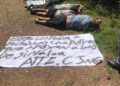 DEMOCRACIA VIRTUAL