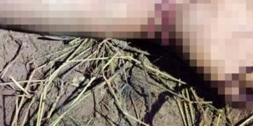 El cuerpo estaba putrefacto