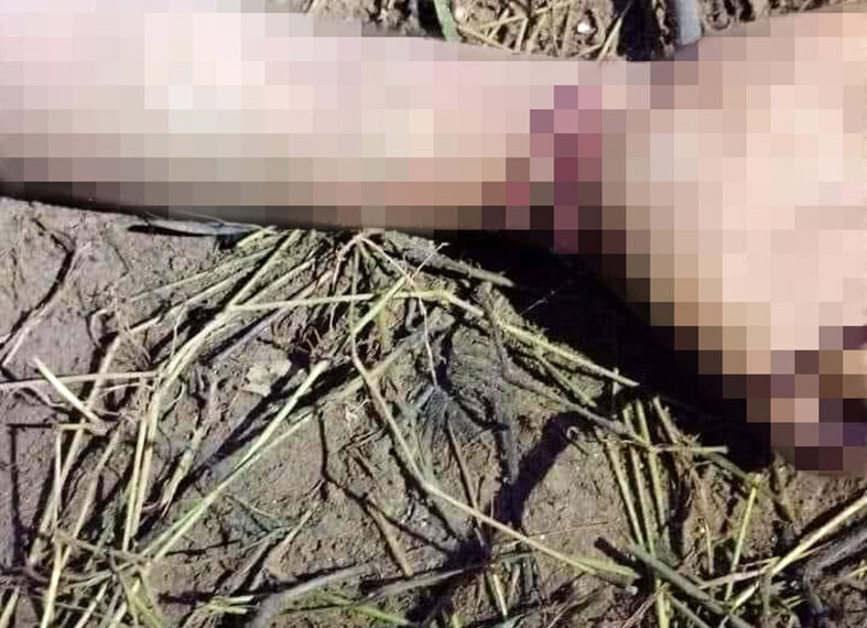 El cuerpo estaba putrefacto