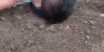 Niño perece electrocutado