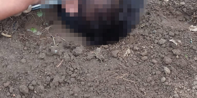 Niño perece electrocutado