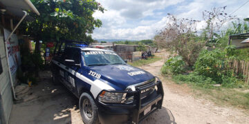 Siguen los suicidios