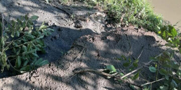 Violento sábado y domingo