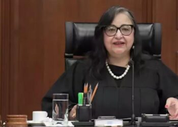 Una ministra en el Senado