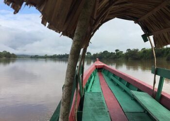 AUSTRAL