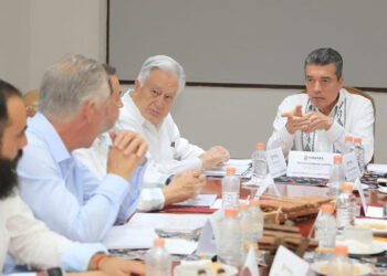 Reactivarán el proyecto Chicoasén II
