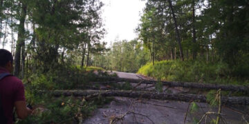 Bloquean todos los accesos