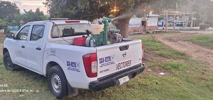 Sin tregua,contra vectores