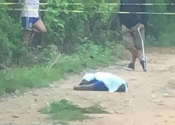 Estaba muerto en plena carretera