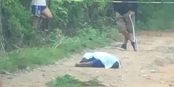 Estaba muerto en plena carretera