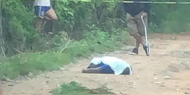 Estaba muerto en plena carretera