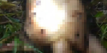 Tenía huellas de tortura