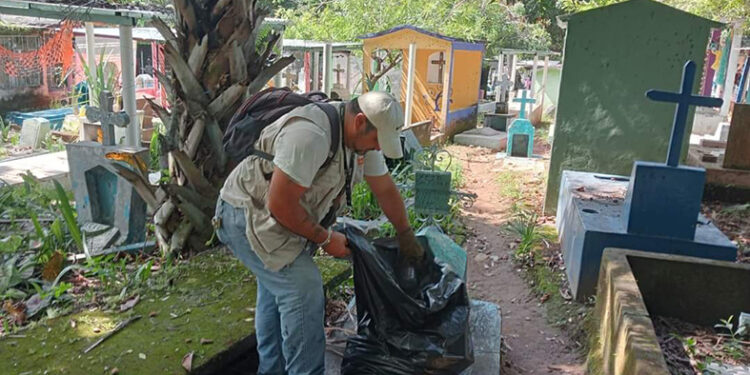 Continúan acciones de limpieza en panteones