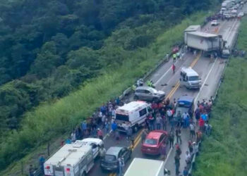 Seis muertos en carreterazo