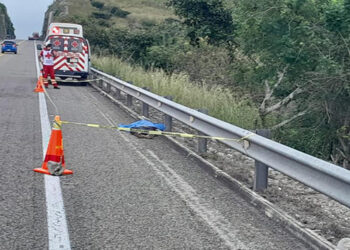 No anotaron las placas