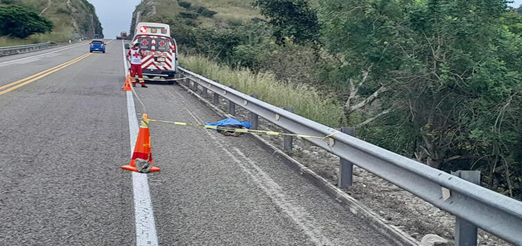 No anotaron las placas