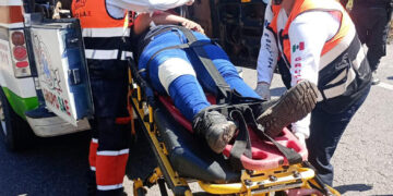 Quedó toda tronchada