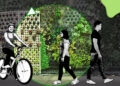 ECOLOGÍA HUMANA