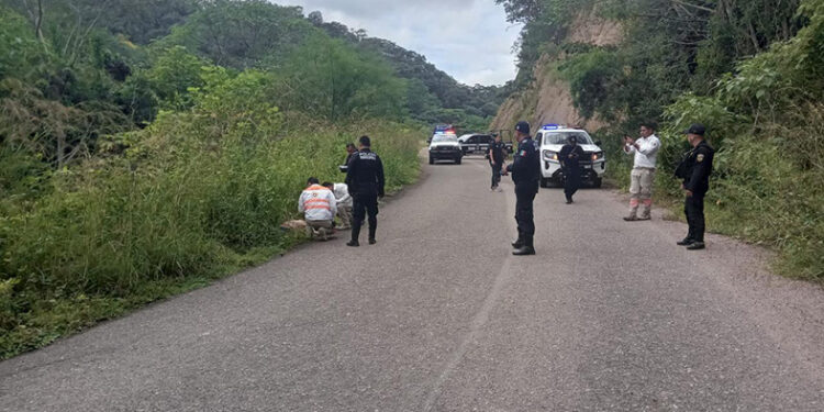 Encuentran a dama sin vida