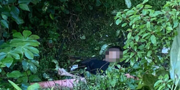 Fallecen dos menores