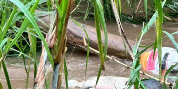 Cadáver en el río tenía dos tiros
